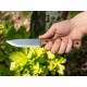 Beavercraft BSH6 Breeze Bushcraft Knife - 4.33" 1066 Carbon Blade Walnut Handle